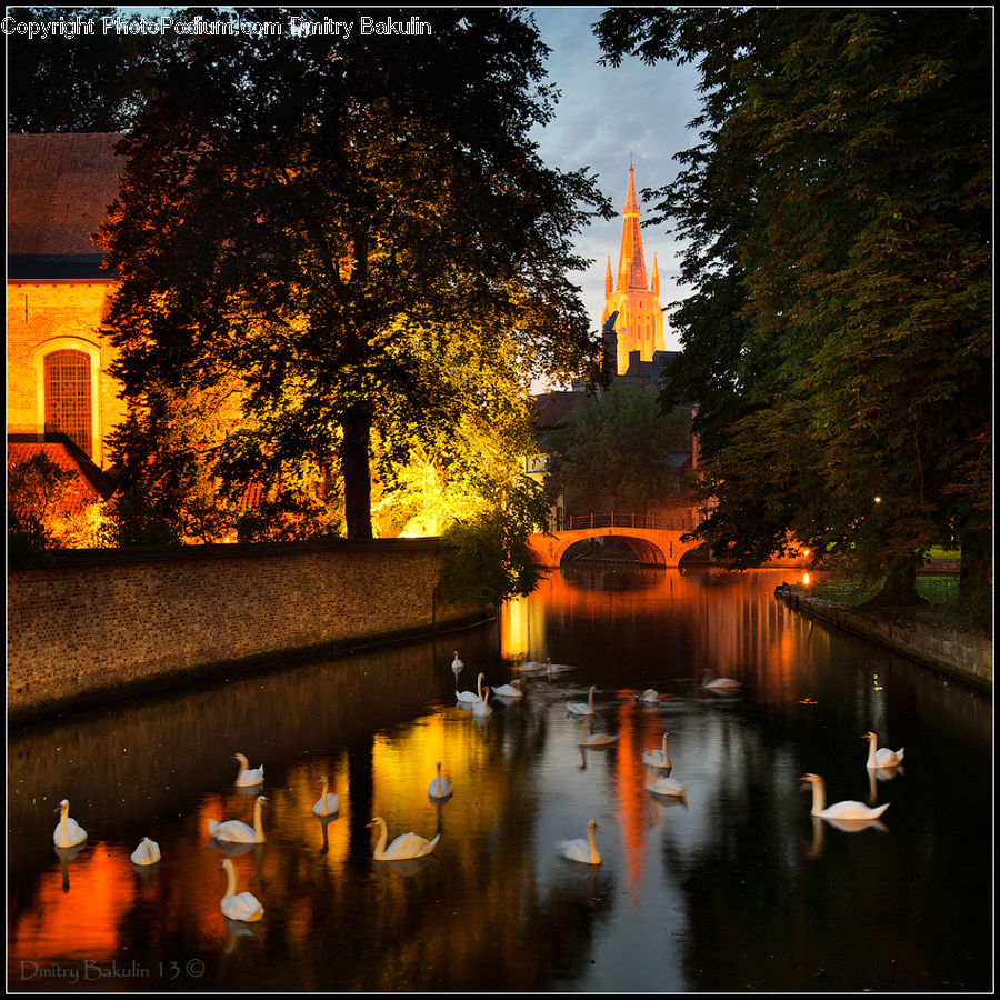 Fountain, Water, Canal, Outdoors, River, Hotel, Resort