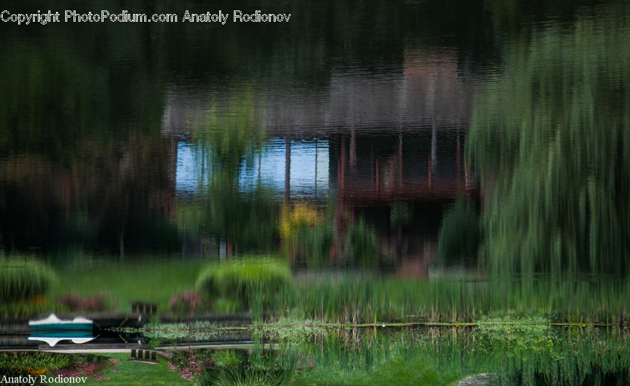 Field, Grass, Grassland, Plant, Cabin, Hut, Rural