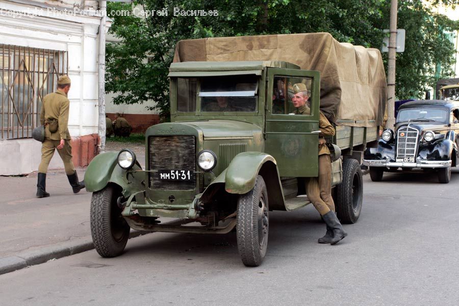 Plant, Potted Plant, Car, Pickup Truck, Truck, Vehicle, Jeep