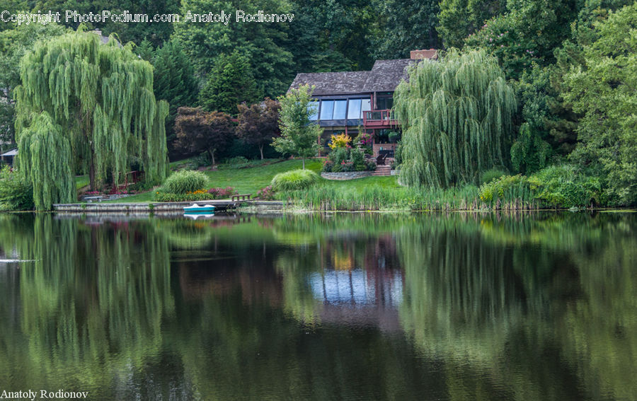 Building, Cottage, Housing, Outdoors, Pond, Water, Plant