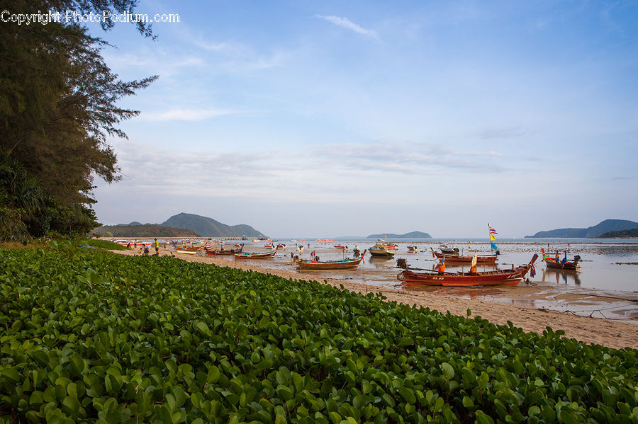 Coast, Outdoors, Sea, Water, Boat, Watercraft, Field