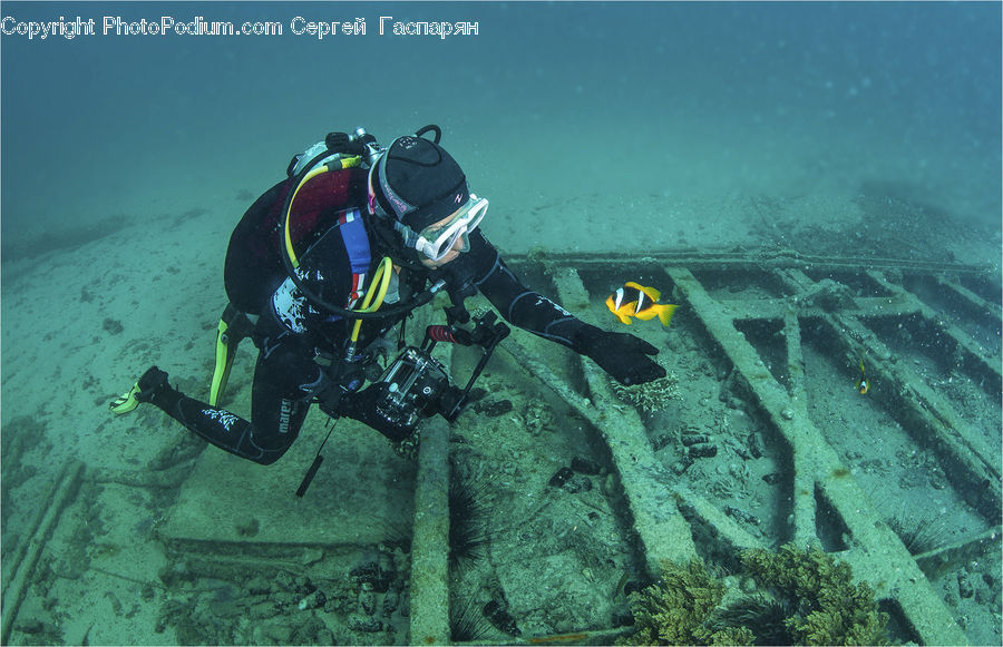 Diver, Diving, Person, Water, Sport
