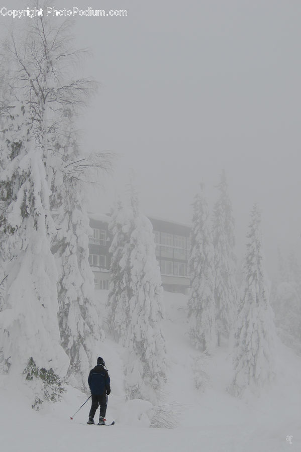Piste, Skiing, Snow, Snowboarding, Ice, Outdoors, Alps