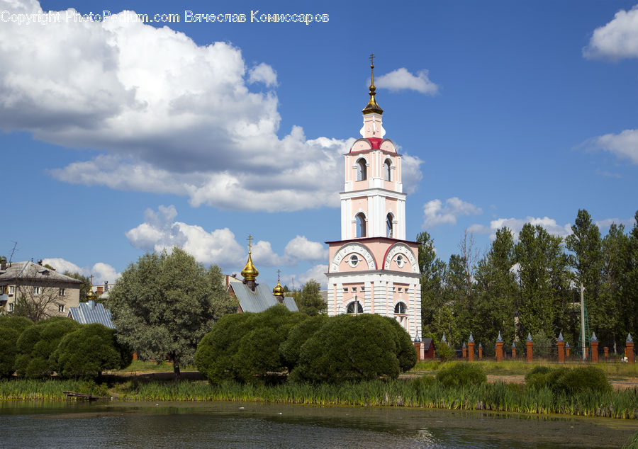 Architecture, Bell Tower, Clock Tower, Tower, Bush, Plant, Vegetation