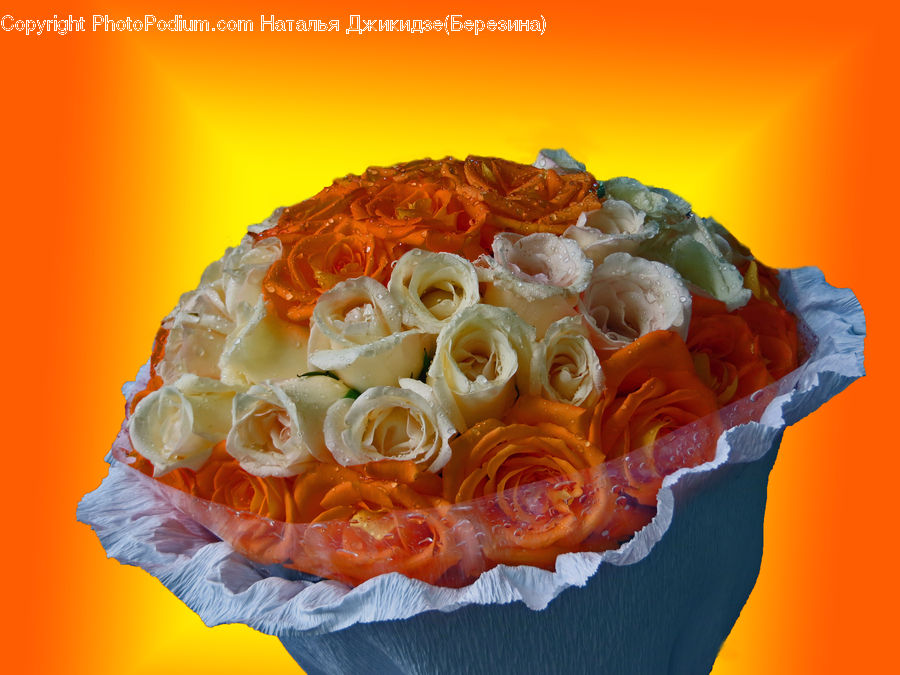 People, Person, Human, Flower, Flower Arrangement, Flower Bouquet, Blossom