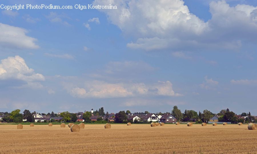 Countryside, Outdoors, Harvest, Farm, Field, Cloud, Cumulus