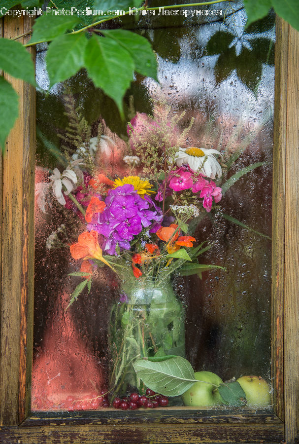 Market, Produce, Blossom, Flora, Flower, Plant, Coral Reef