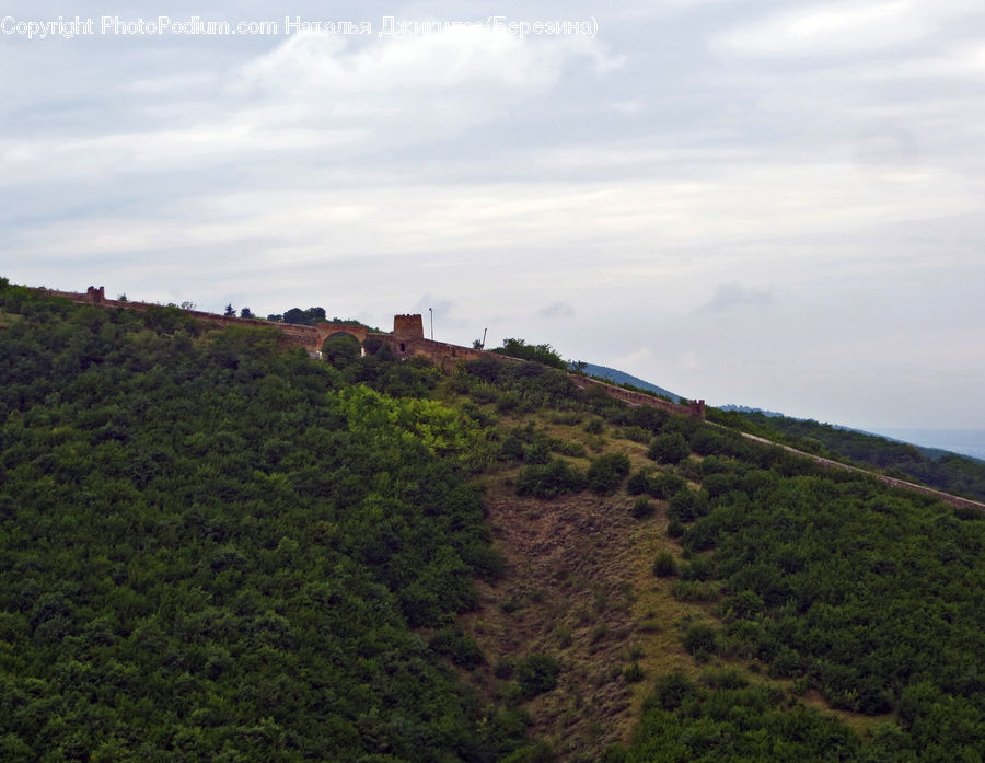 Countryside, Hill, Outdoors, Bush, Plant, Vegetation, Cliff