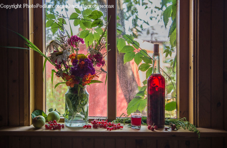 Plant, Potted Plant, Bottle, Flower Arrangement, Ikebana, Vase, Floral Design