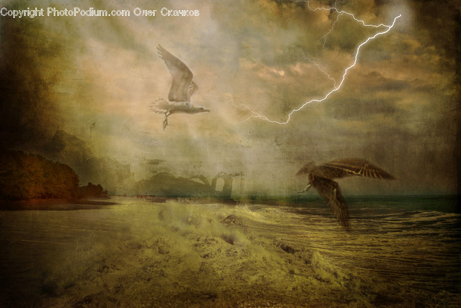 Ardeidae, Bird, Art, Painting, Crane Bird, Heron, Field