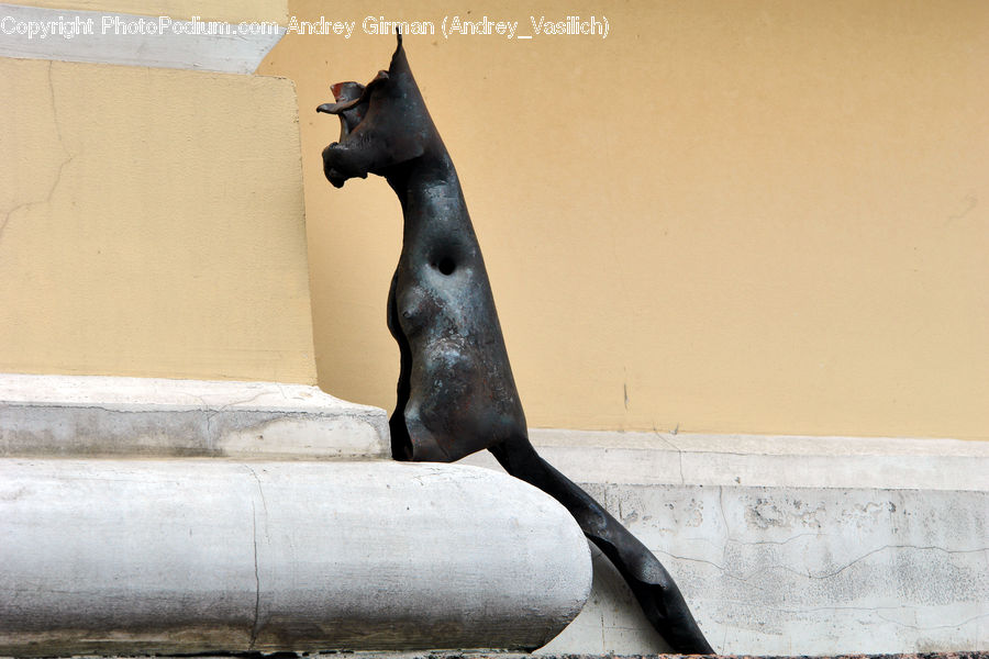 Animal, Mammal, Sea Life, Sea Lion, Seal