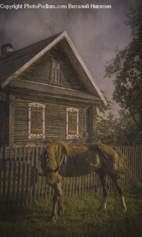 Building, Cottage, Housing, Cabin, Hut, Rural, Shack