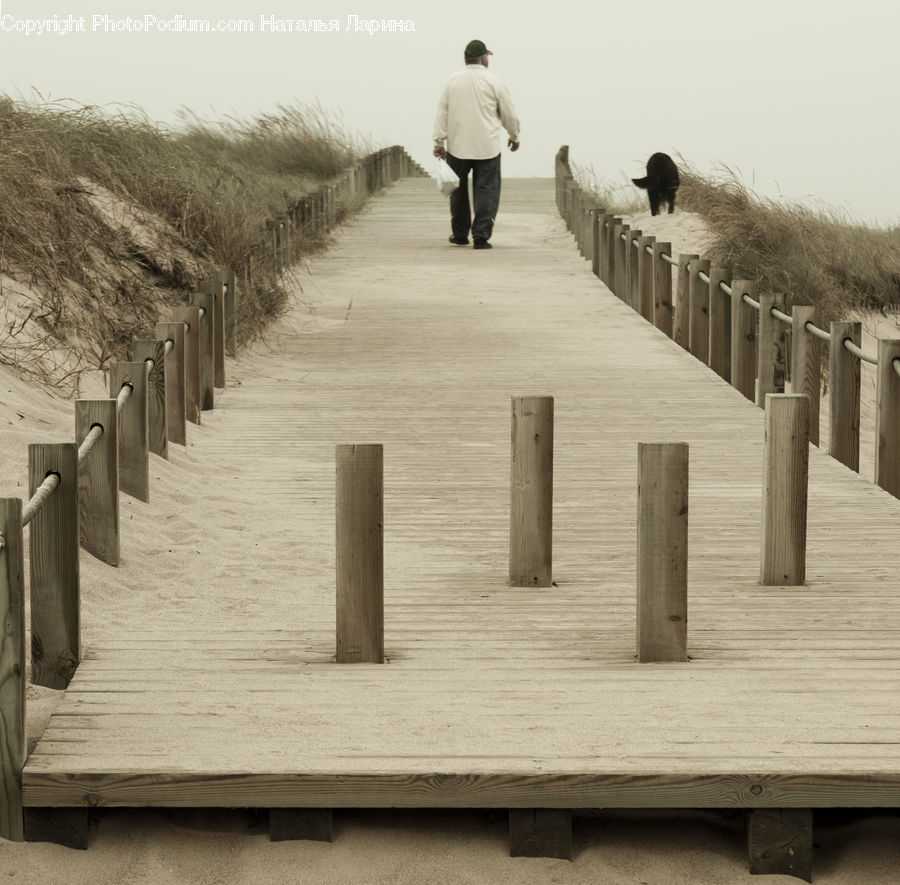Dock, Pier, Landing, Boardwalk, Deck, Path, Sidewalk