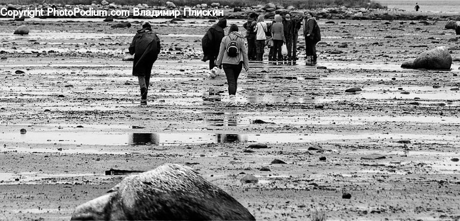 People, Person, Human, Outdoors, Sand, Soil, Crowd