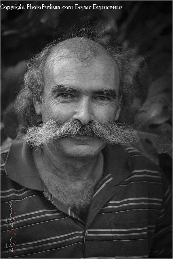People, Person, Human, Beard, Hair, Mustache, Portrait