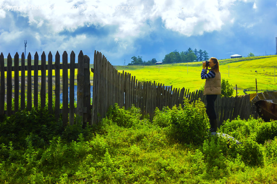 Countryside, Outdoors, Field, Grass, Grassland, Plant, Land