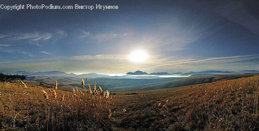 Field, Grass, Grassland, Land, Outdoors, Plateau, Tundra