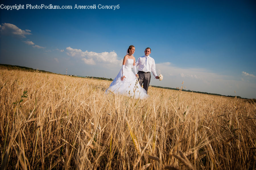 People, Person, Human, Grain, Wheat, Grass, Plant