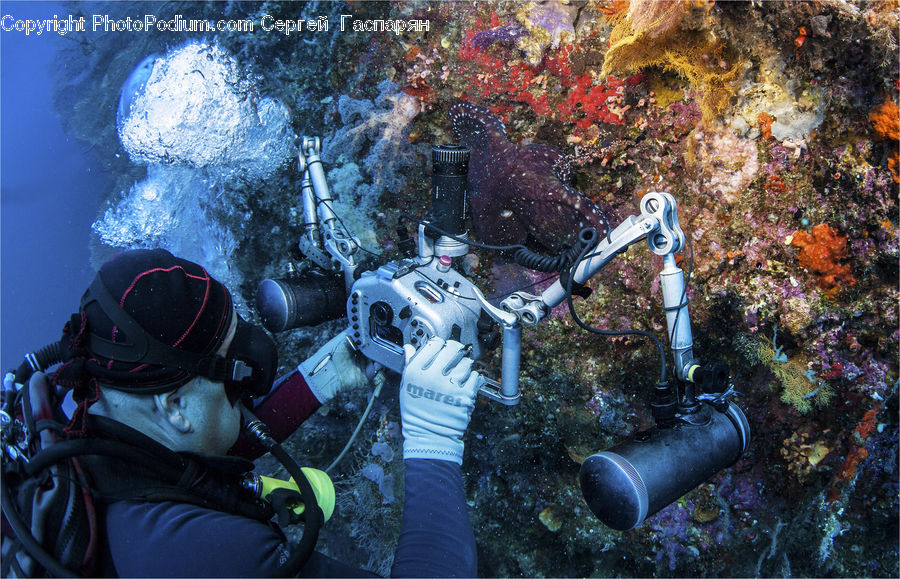 Coral Reef, Outdoors, Reef, Sea, Sea Life, Water, Robot