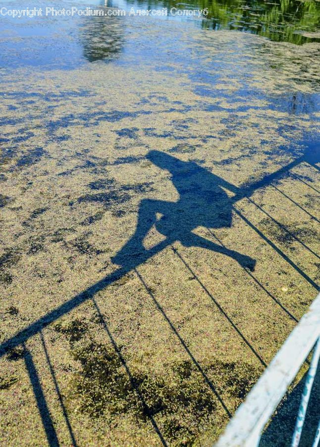Pavement, Land, Marsh, Pond, Swamp, Water, Flagstone