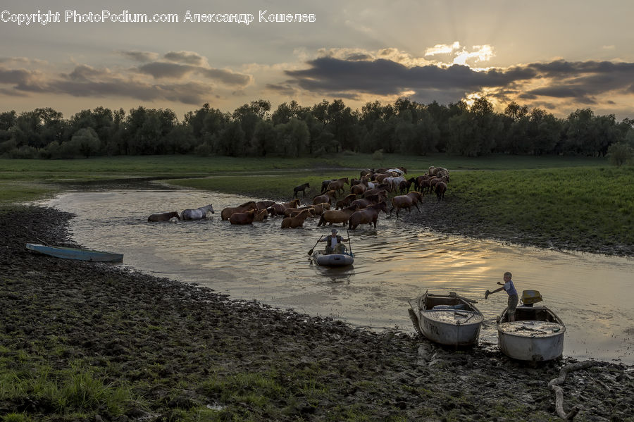 Boat, Rowboat, Vessel, Watercraft, Landscape, Nature, Scenery