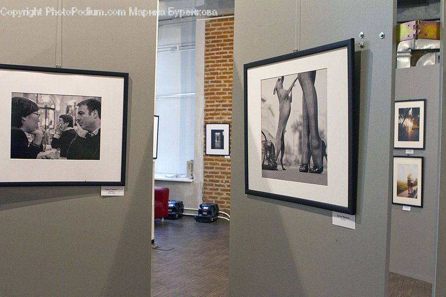 People, Person, Human, Art, Art Gallery, Monitor, Screen