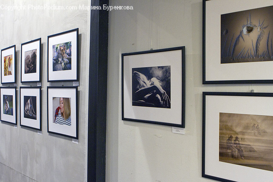 Art, Art Gallery, Modern Art, Paper, Monitor, Screen, Flyer