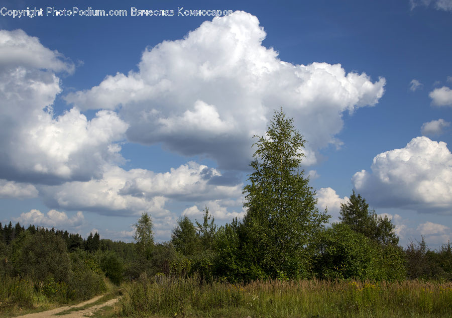 Cloud, Cumulus, Sky, Azure Sky, Outdoors, Dirt Road, Gravel