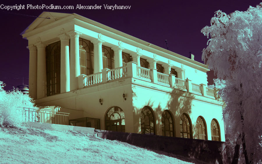 Blossom, Flora, Flower, Plant, Cherry Blossom, Architecture, Mansion