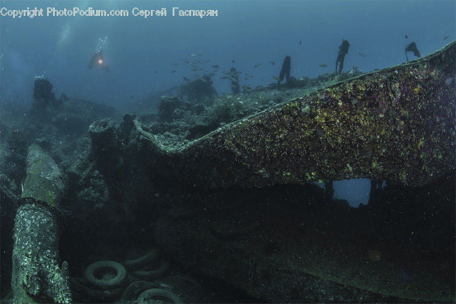 Coral Reef, Outdoors, Reef, Sea, Sea Life, Water, Diver