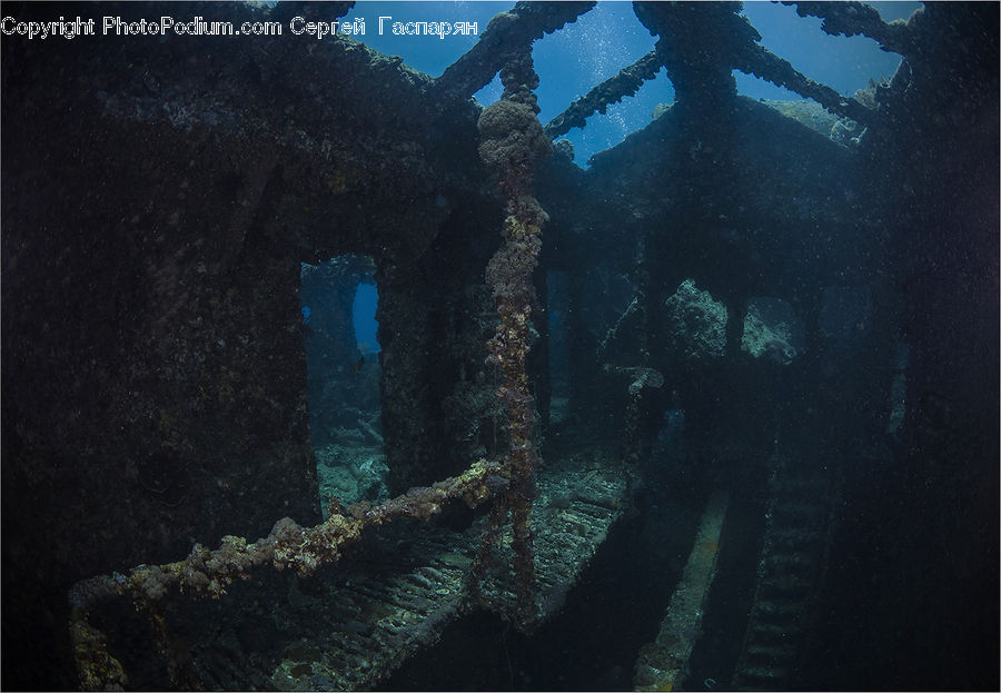 Coral Reef, Outdoors, Reef, Sea, Sea Life, Water, Shipwreck