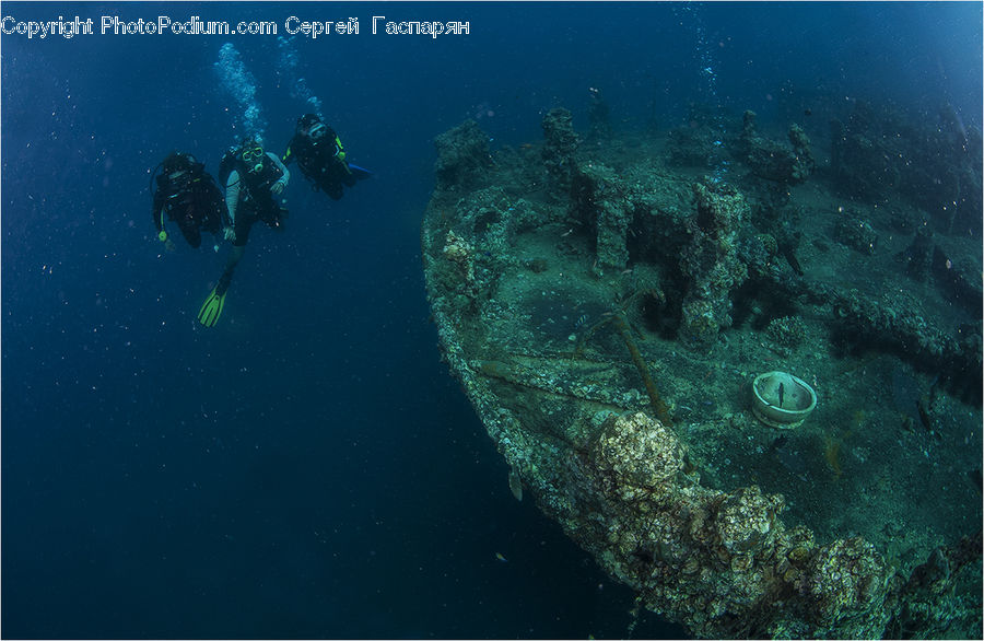 Diver, Diving, Person, Water, Sport, Coral Reef, Outdoors