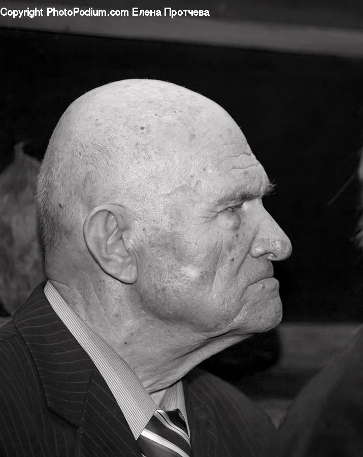 Human, People, Person, Head, Portrait