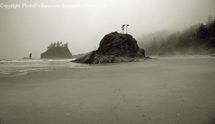 Coast, Outdoors, Sea, Water, Beach, Sand, Soil