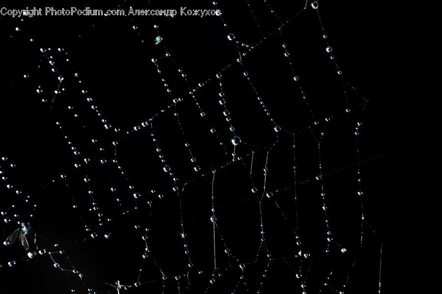 Fireworks, Night, Insect, Spider Web, Lighting, Arachnid, Argiope