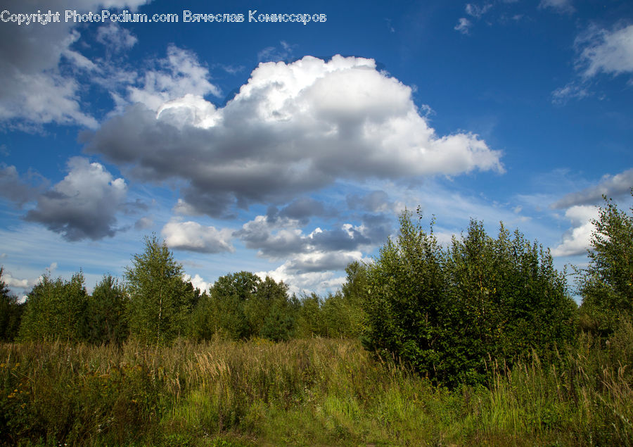 Cloud, Cumulus, Sky, Field, Grass, Grassland, Land