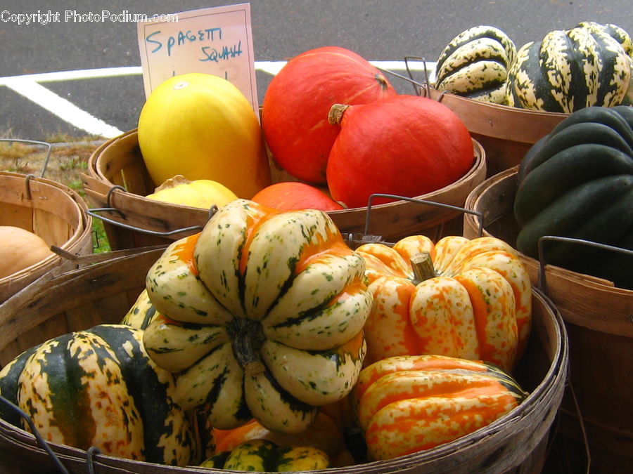 Squash, Vegetable, Pumpkin, Bowl, Brewery, Factory, Food