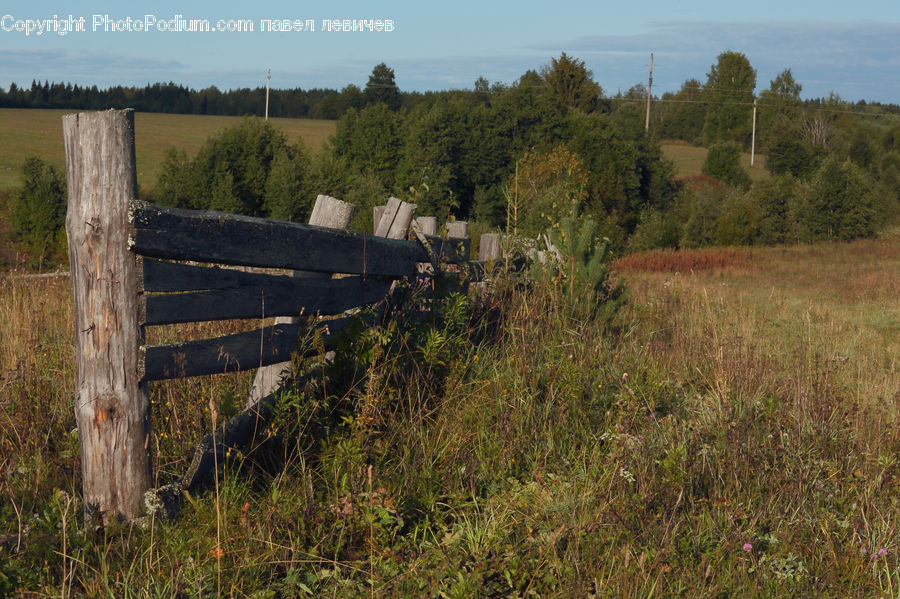 Park Bench, Dirt Road, Gravel, Road, Landscape, Nature, Scenery