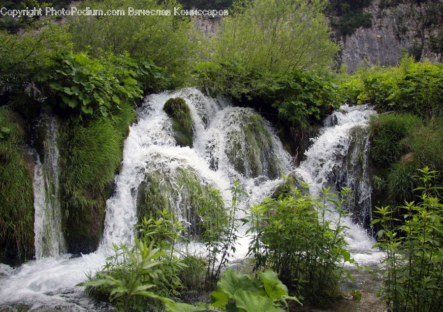 Outdoors, River, Water, Waterfall, Creek, Forest, Jungle