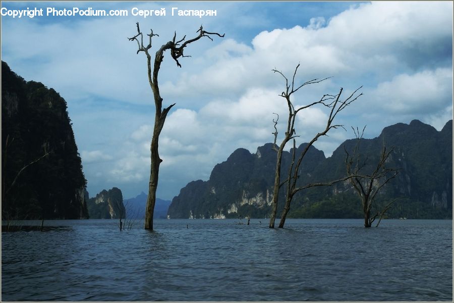 Ocean, Outdoors, Sea, Water, Forest, Jungle, Rainforest