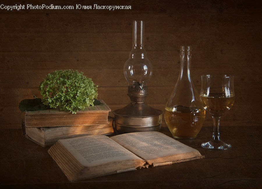 Bonsai, Plant, Potted Plant, Tree, Glass, Goblet, Bottle