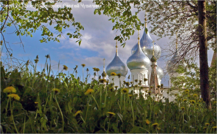 Architecture, Dome, Mosque, Worship, Field, Grass, Grassland