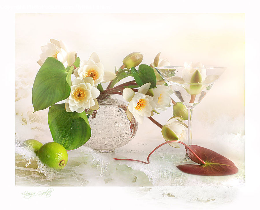 Citrus Fruit, Fruit, Lime, Flower Arrangement, Ikebana, Plant, Potted Plant