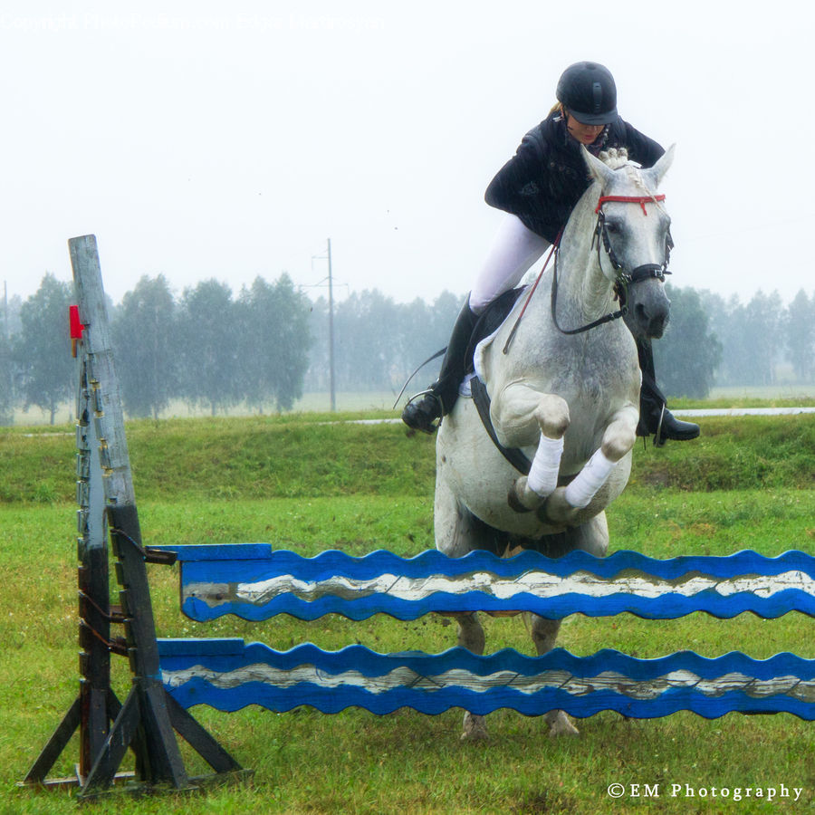 People, Person, Human, Animal, Equestrian, Horse