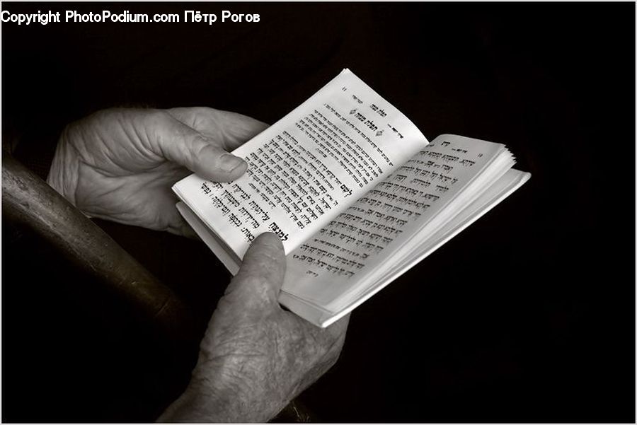 Crossword Puzzle, Game, Paper, Reading, Text