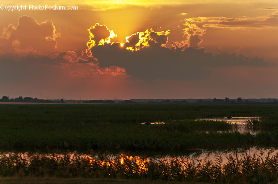Land, Marsh, Outdoors, Swamp, Water, Azure Sky, Cloud