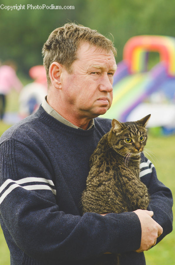 Human, People, Person, Animal, Cat, Mammal, Pet