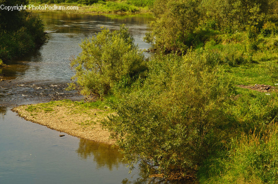 Canal, Outdoors, River, Water, Pond, Land, Marsh