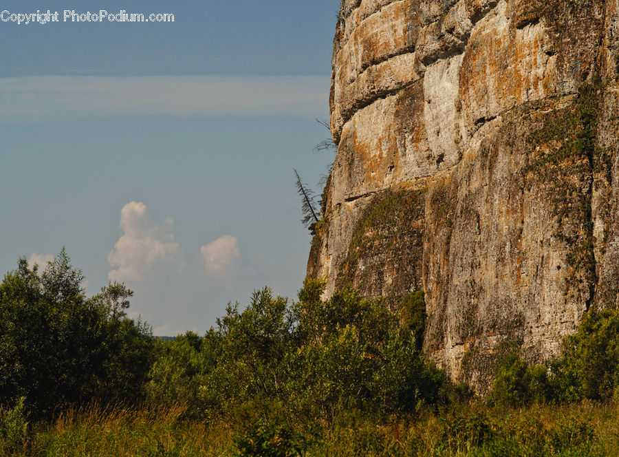 Cliff, Outdoors, Field, Grass, Grassland, Plant, Bunker