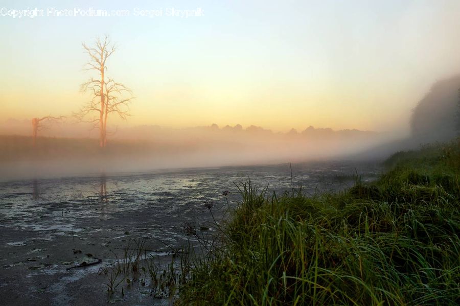 Dawn, Dusk, Sky, Sunrise, Sunset, Fog, Mist
